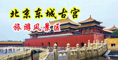 美女被操的淫水直流中国北京-东城古宫旅游风景区